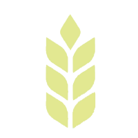 Site Icon